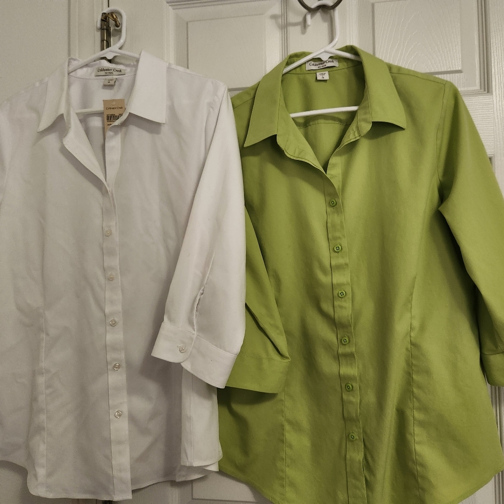 Set of 2 Coldwater Creek womens blouses.